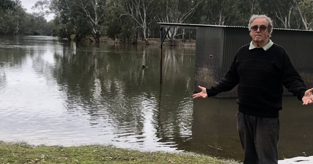 Questions asked about low level flooding in the Murray River | The Land