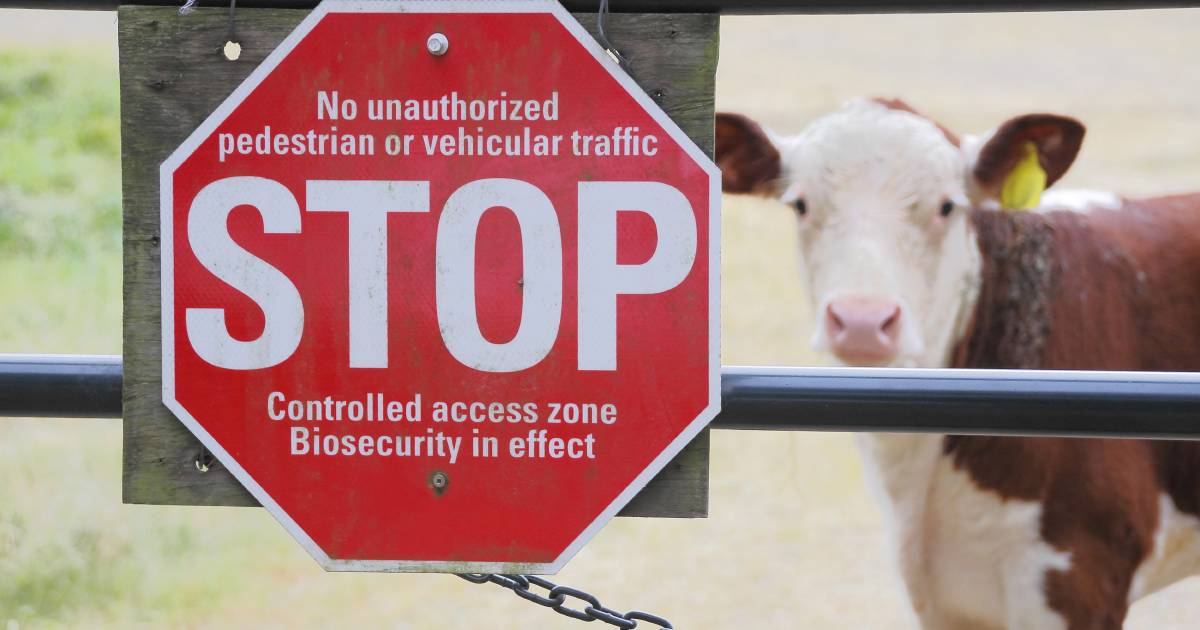 Agriculture shouldn’t be doing all the heavy lifting when it comes to biosecurity | Queensland Country Life