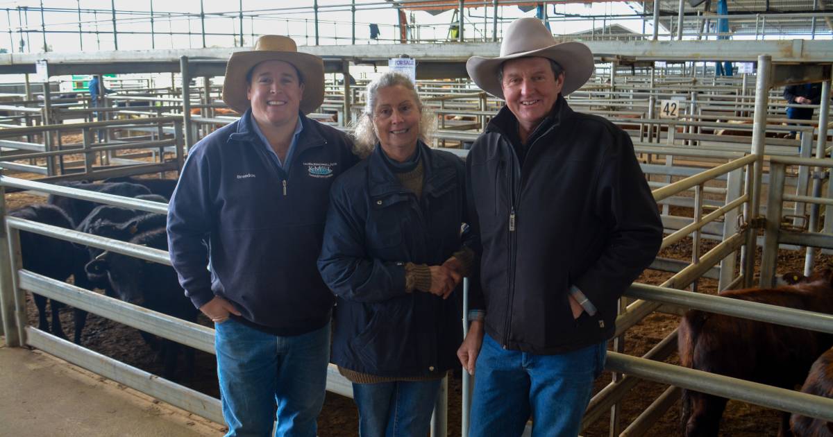 Forbes cows with calves top at $2625