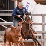 Steer price lifts to 404.2c/kg as rain impacts CQLX special weaner sale yarding