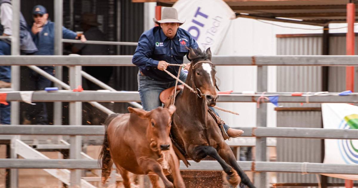 Scott McCormack secured a one-point victory in the Ken Daley Memorial Open | Queensland Country Life