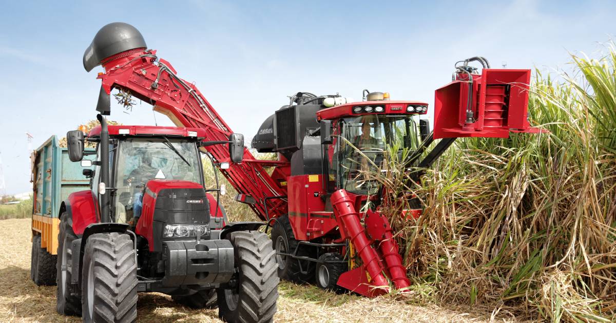 Burdekin cane growers are concerned about rising input costs, labour shortages and possible new law | North Queensland Register