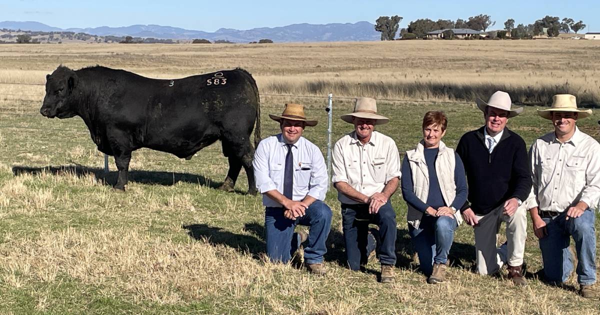 Heart Angus sale tops at $65,000