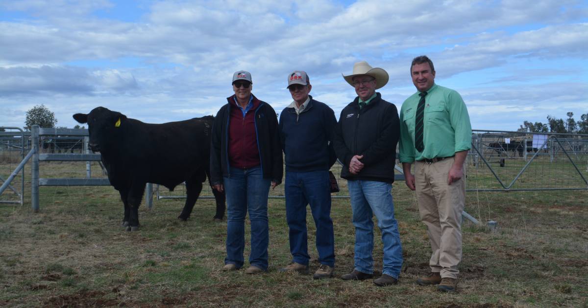 30th annual DSK sale tops at $15,000