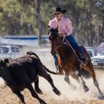 North Queensland business defends 'wind turbine graveyard' claims