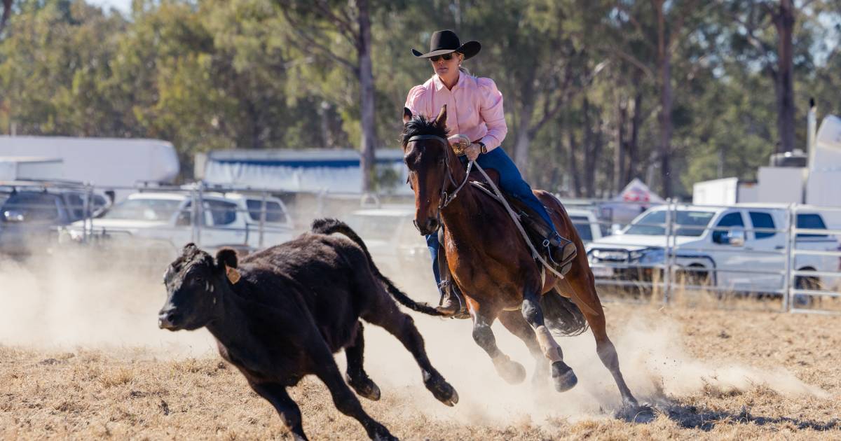 Fierce rivalry at Texas Show Campdraft with end-of-year titles on the line | The Land