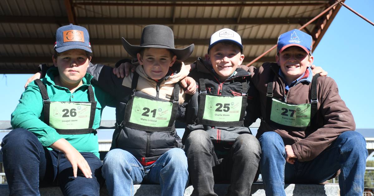 Cattle crazy kids at the Hereford Youth Show