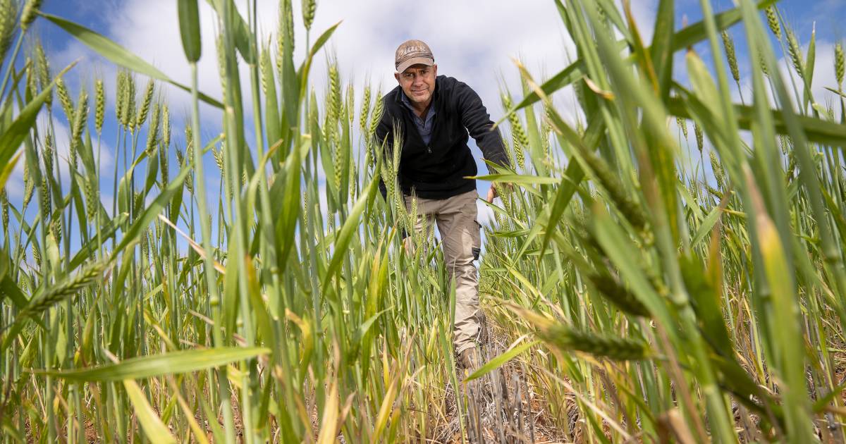 Excited new members keen to take up GRDC roles