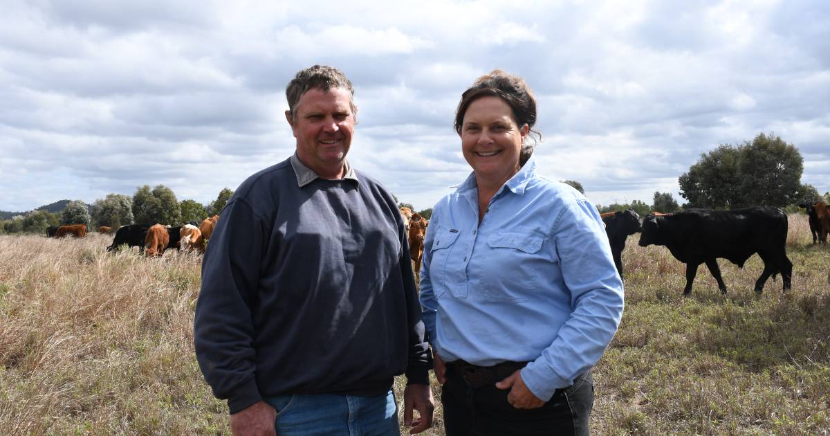 Carbon soil credits "a game changer" for livestock industries