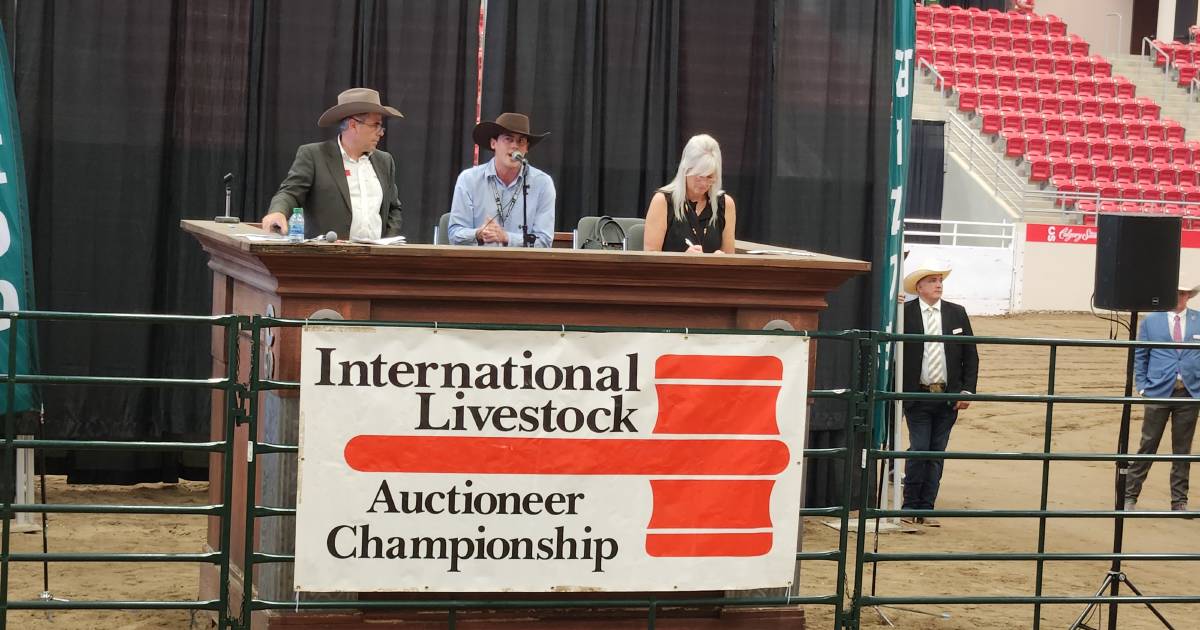 Gundagai’s Harry Waters shows Australia’s auctioneer style at Calgary | Queensland Country Life