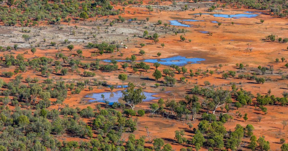 Vast new national park to protect vital wetlands north west of Bourke | The Land