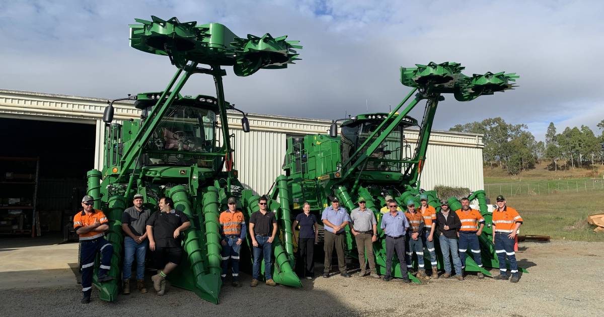 Two row cane harvesters "a niche market"