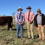 Pineapple industry converges in Yeppoon for 2023 field days