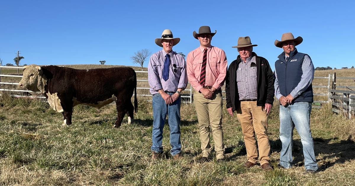 Amos Vale Herefords to $30,000