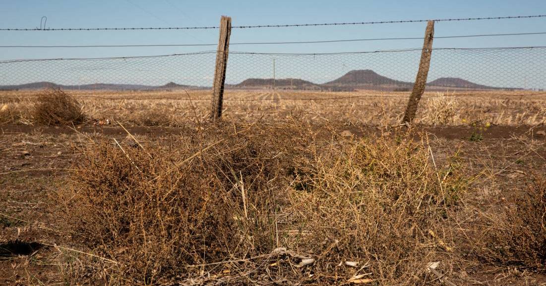 More than $3m will be shared across communities for future drought impact | The Land