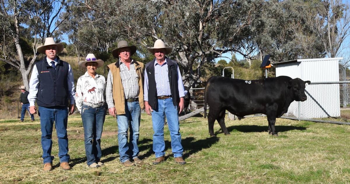 Cascade's top bull to Eidsvold