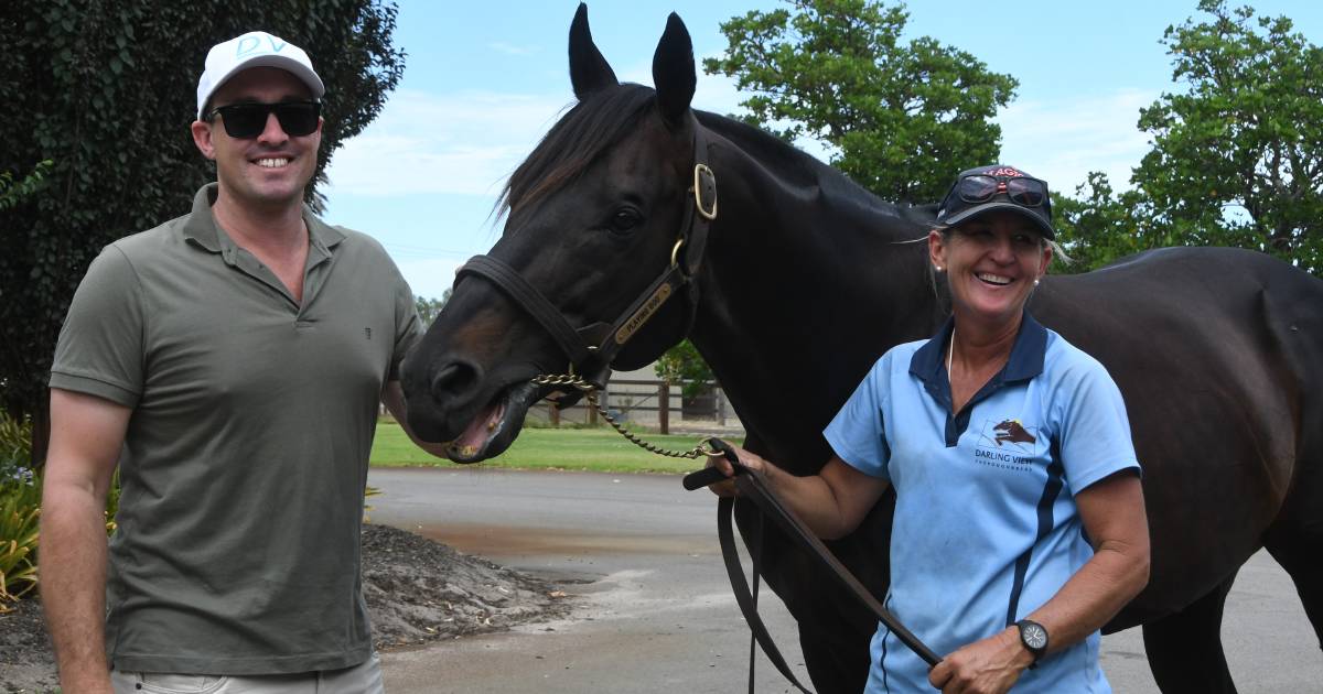 Western Australian sires in the spotlight