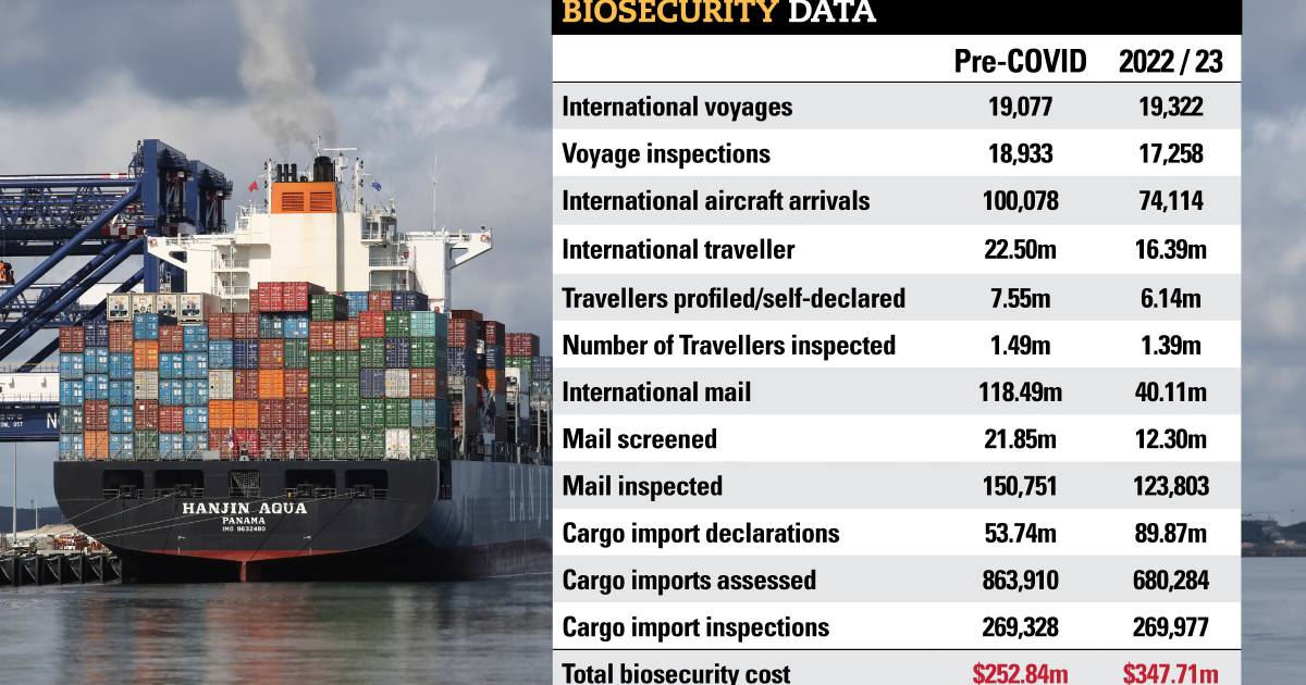 Paying $100m more & getting less: biosecurity below pre-COVID levels