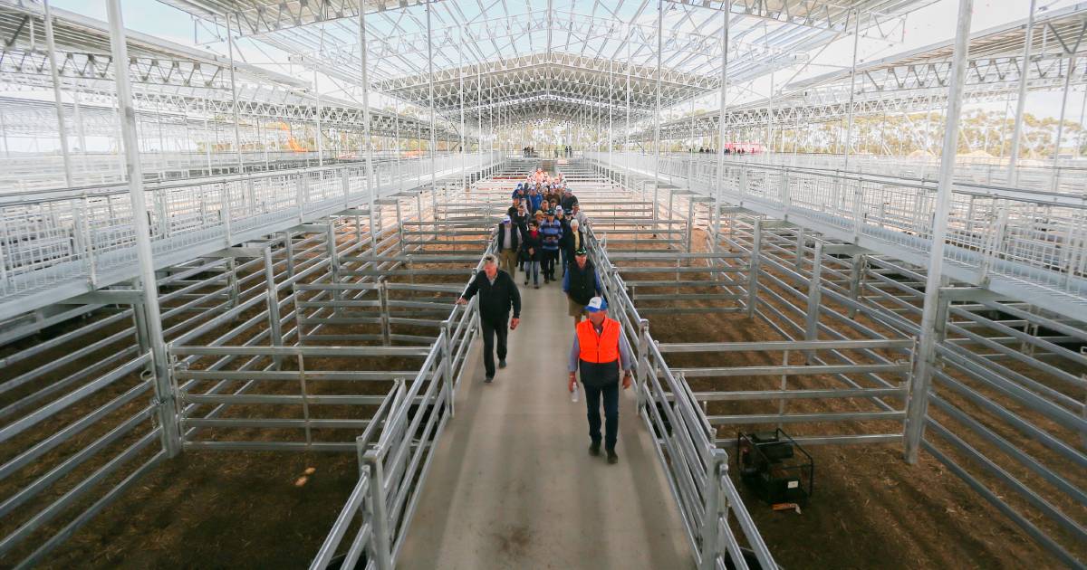 Major Victorian, NSW saleyards sold in multi-million deal to big ag player