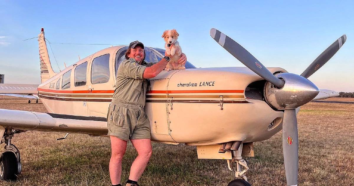 Flying locum wants to see RFDS for vets