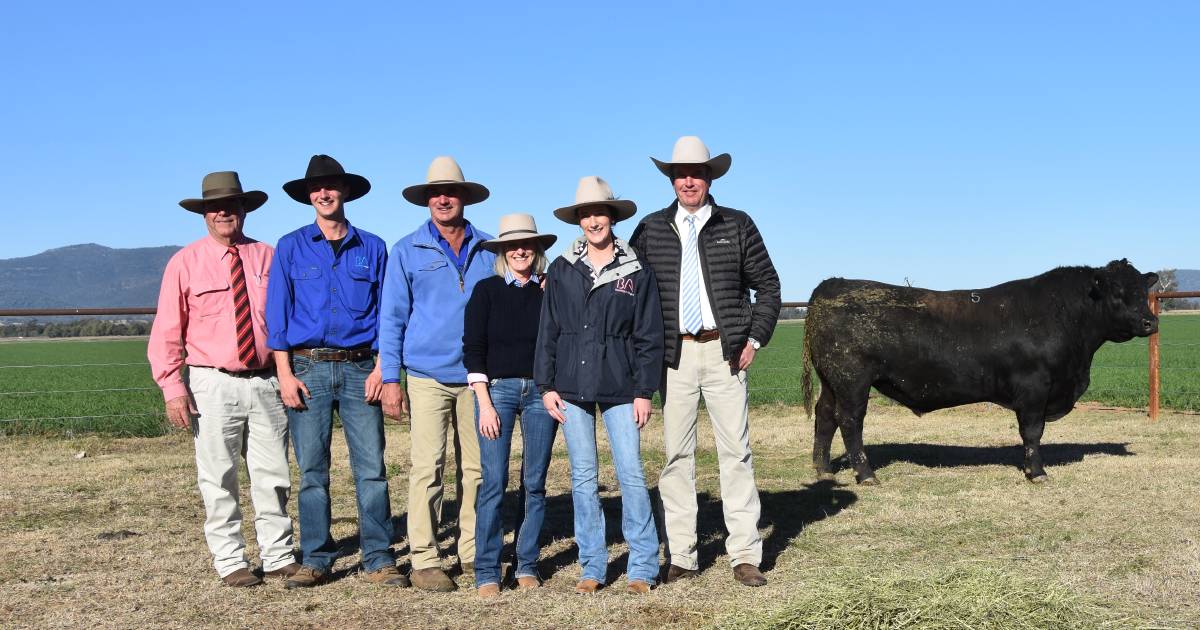 Booragul Angus complete 24th annual on-property bull sale with $14,101 average. | The Land