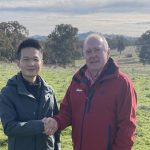 Central Queensland wheat growers rejoice after recent rain raises hopes for high yields