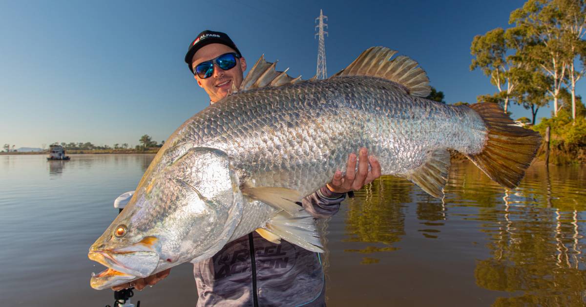 Fitzroy River delivering monster barramundi