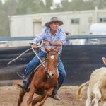 Angus heavy feeder steers make 324c/$1515 at Emerald | Queensland Country Life