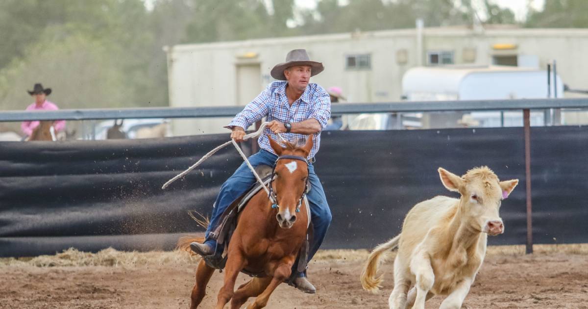 Large nominations for Springlands Campdraft