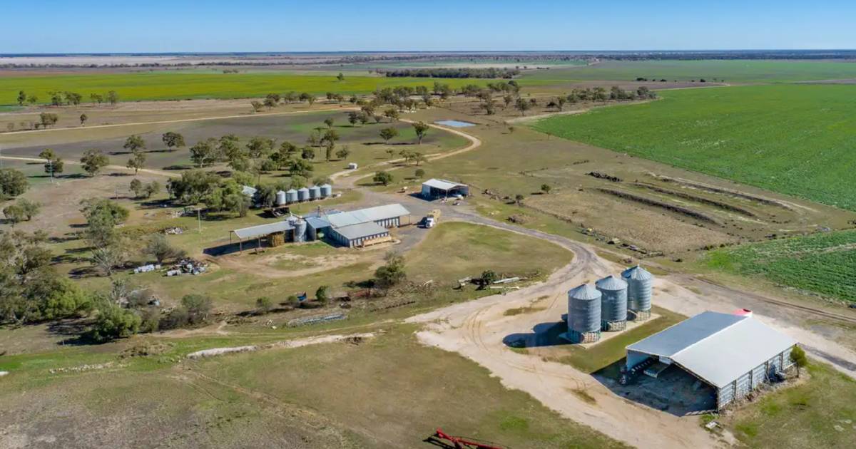 Blue chip north west farming opportunity | Video