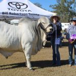 Should cattle producers be applying more scrutiny to retail beef margin share?