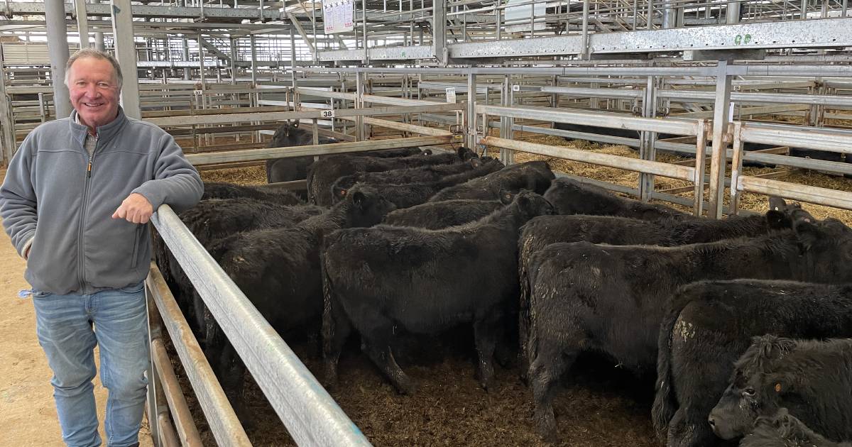 Heifers at Wodonga top at $1320 | The Land