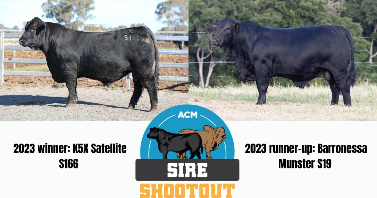 Judges praise Sire Shootout competition as marketing tool for producers