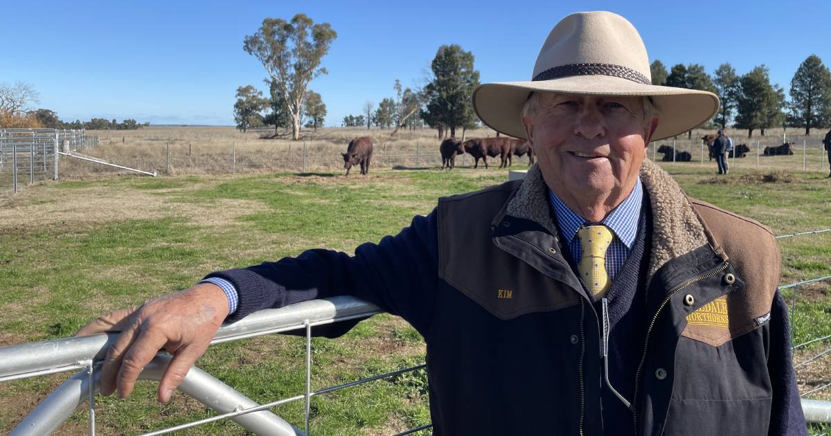 Thousand Guineas marbling on Shorthorn breeders’ radar | The Land