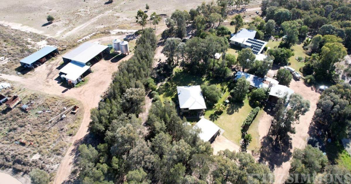 Offers over $5.5m sought on Lindeman