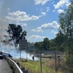 Unvaccinated horse dies from Hendra Virus in NSW