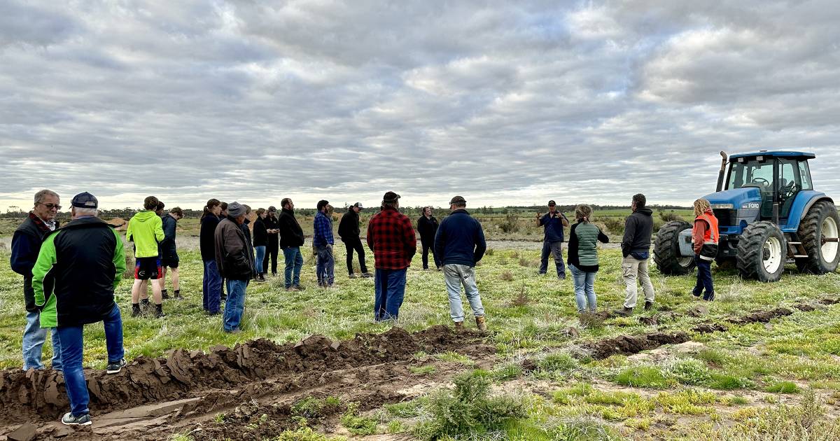 Tricks and tips aplenty at tree planting event