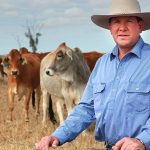 Eidsvold teen represents Qld at Australian Stock Horse Youth Program