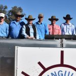 How you could find love at the Ekka this year