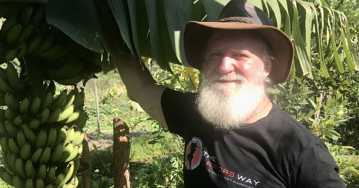 Yeppoon permaculture farm grows more than 1000 different producing plant species | North Queensland Register