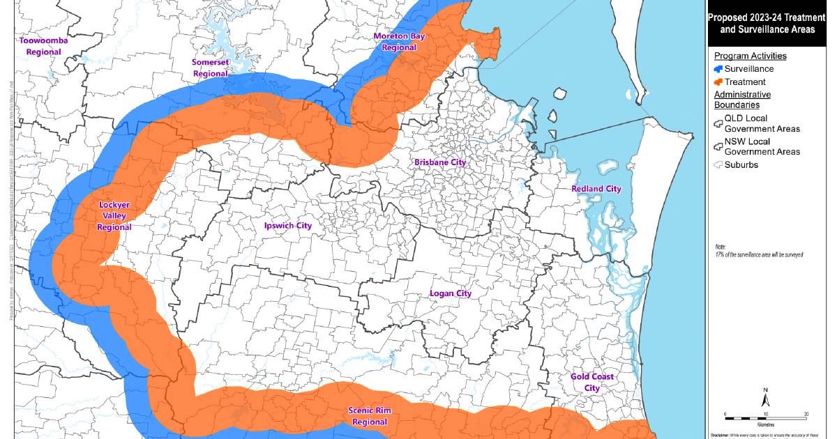 Federal government must contribute to fire ant fight, Invasive Species Council says | Queensland Country Life