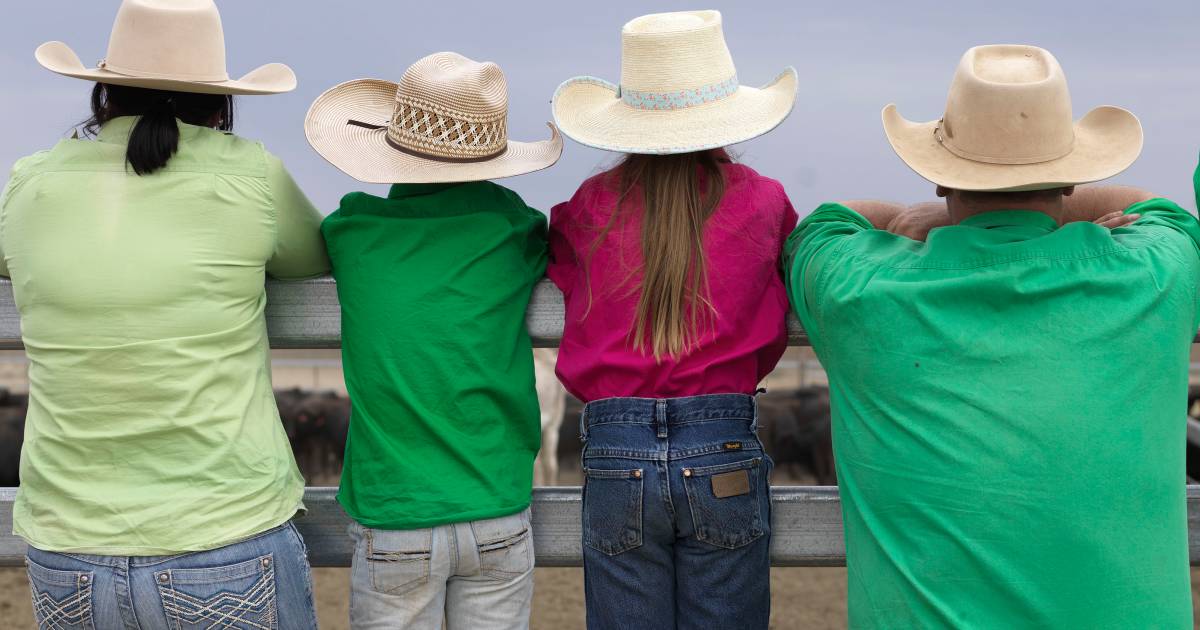 Working on remote cattle properties can be tough on mental health, so AACo made a big change | Queensland Country Life