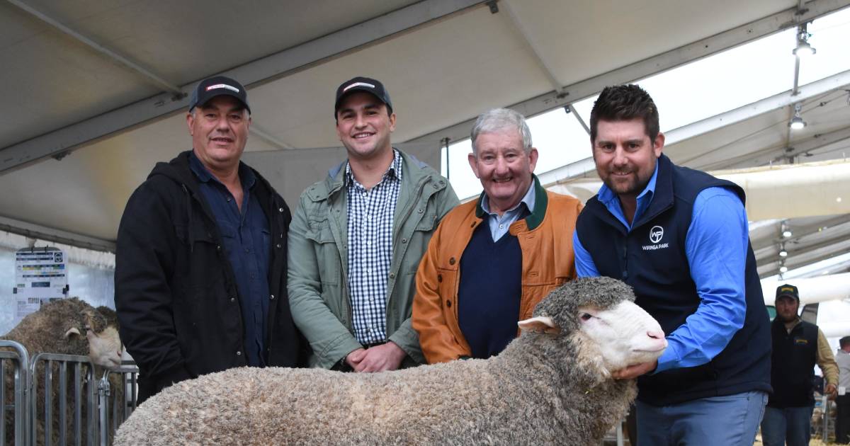 Royal result as WA ram King Charles sells for $70,000