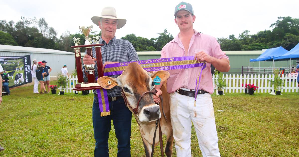 2023 Malanda Show Dairy Competition