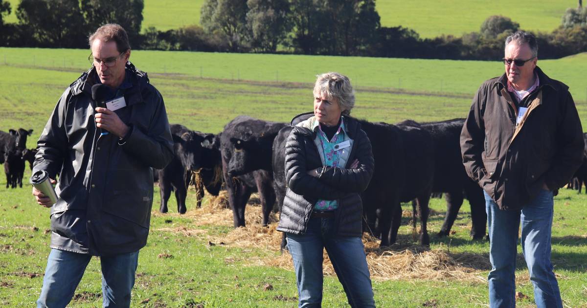 Western Australian Livestock Research Council showcases different strategies. | Farm Weekly