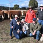 Egg farmers on Melbourne's fringe are bearing the brunt of bullying and death threats