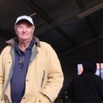 Murray Grey sires to $17,500 at annual Glen Innes breed sale