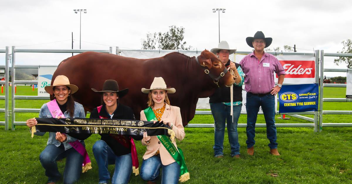 Droughtmasters reign supreme at Atherton Show | Queensland Country Life