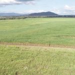 Line-up for ricegrowers conference announced