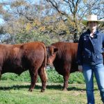 Amos Vale Herefords to $30,000